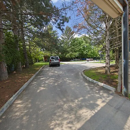 Avalavanda Cherry Hill